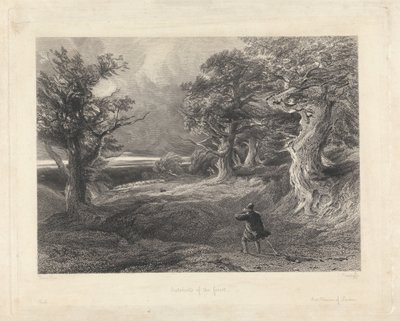 Outskirts of the Forest by Edward Radclyffe